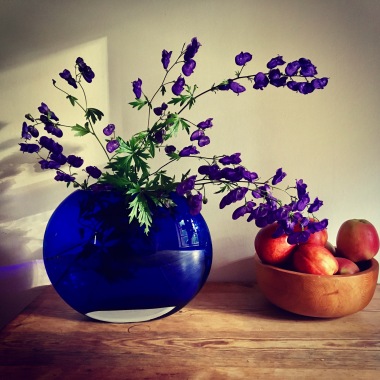 pexels-purpleflowers-718760